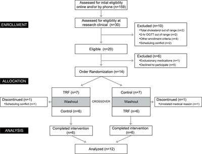 Effects of Time-Restricted Feeding on Energy Balance: A Cross-Over Trial in Healthy Subjects